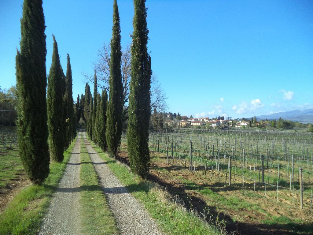 Agriturismo Albergotti Arezzo Exterior photo