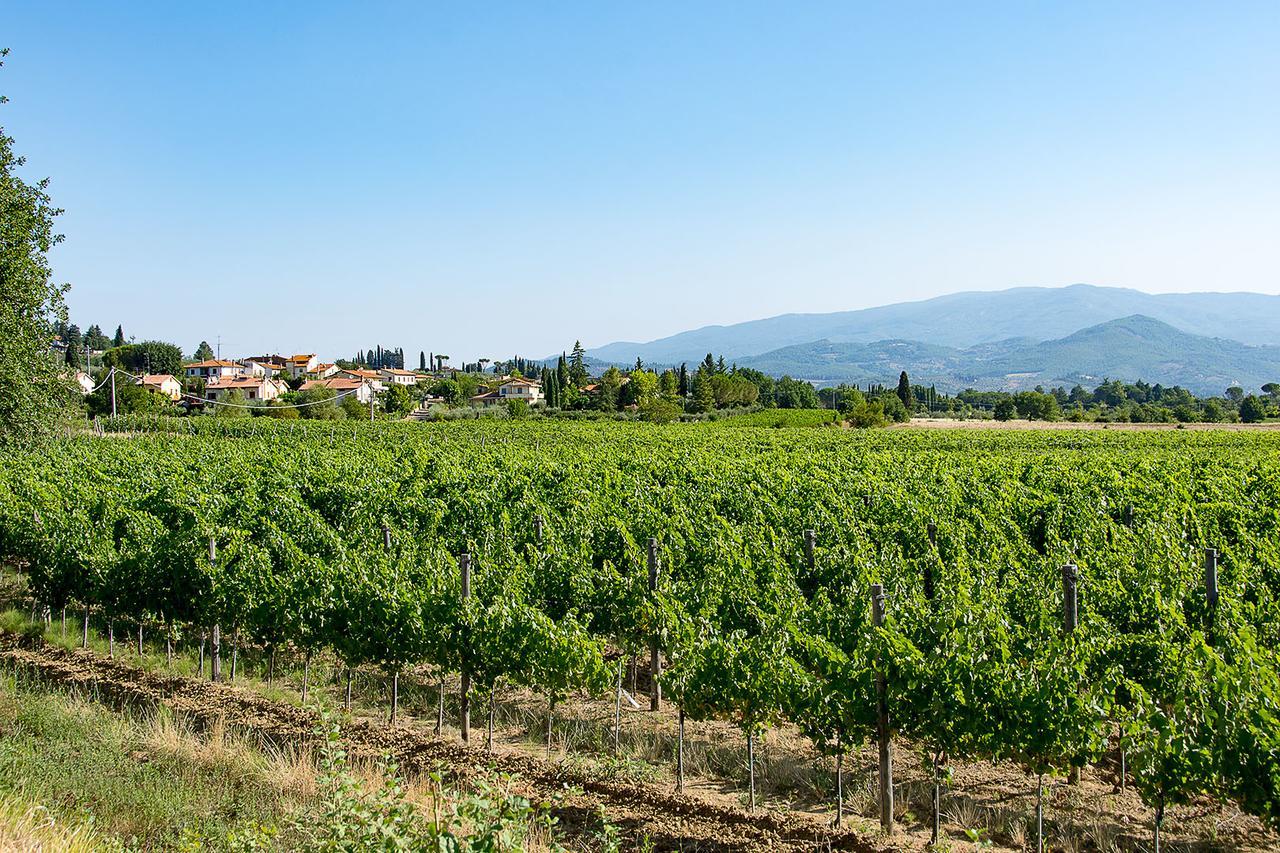 Agriturismo Albergotti Arezzo Exterior photo